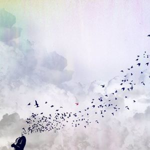 Meet your Posher, Maithri